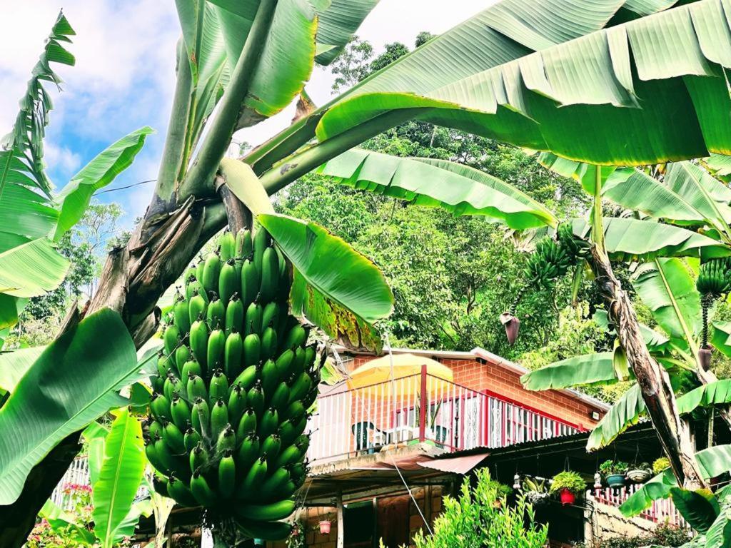 Posada Lu.Lu Choachi Ngoại thất bức ảnh